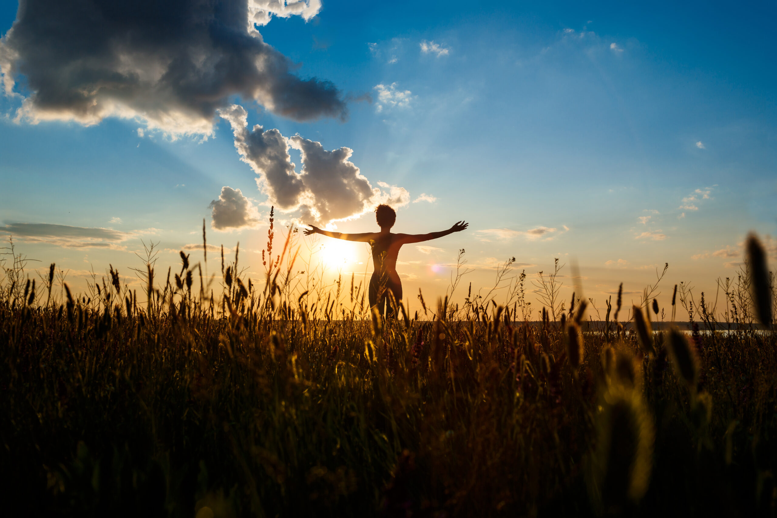 Silhouette of young beautiful sportive girl practicing yoga in field at sunrise.
